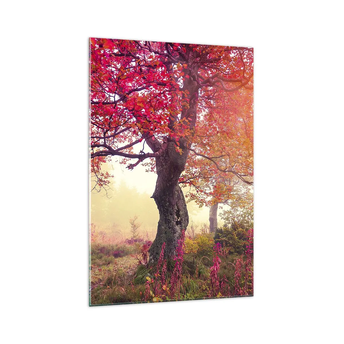 Schilderen op glas - Bloeiende razernij - 70x100 cm