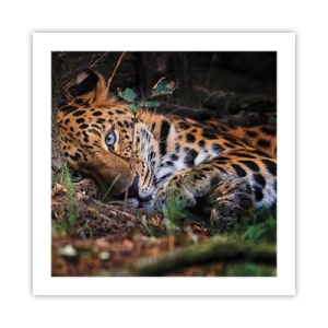 Poster - Geloof me - 50x50 cm