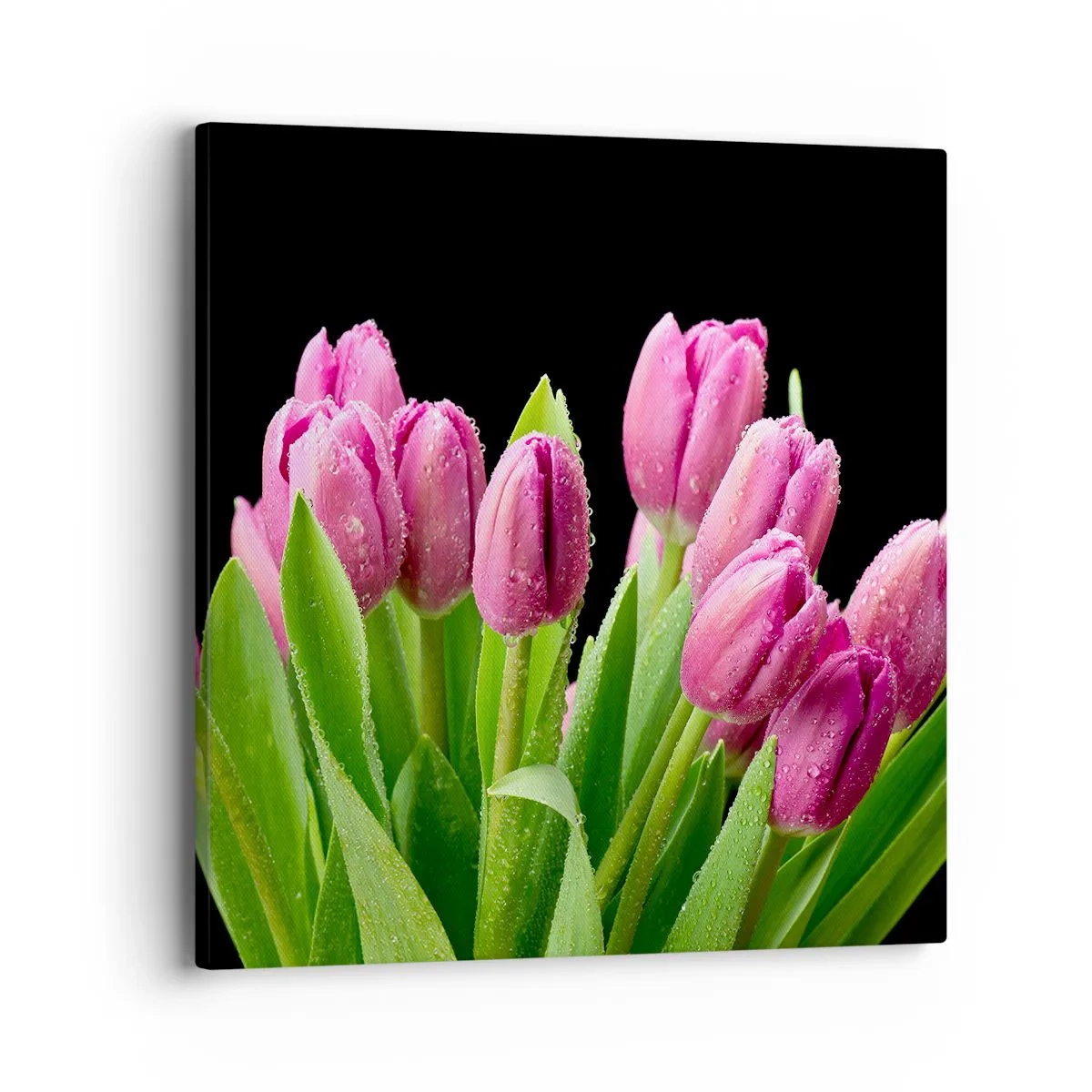 Schilderen op canvas - Lila vreugde van de lente - 40x40 cm