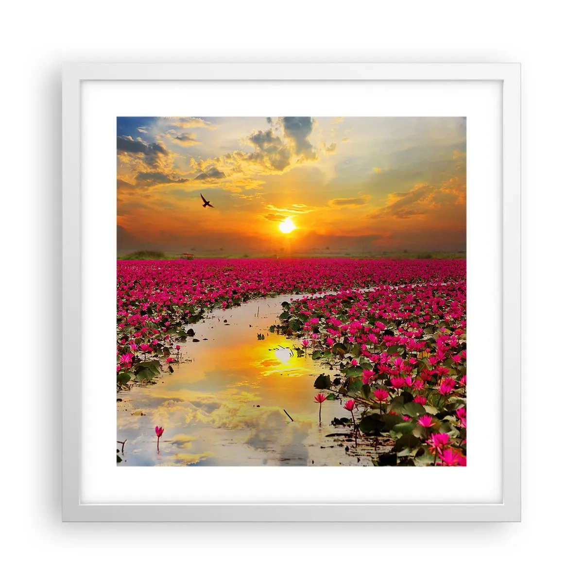 Poster in een witte lijst - Het geheime leven van het meer - 40x40 cm