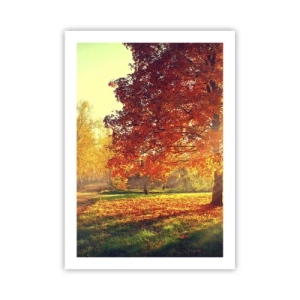 Poster - Rood is mooi - 50x70 cm