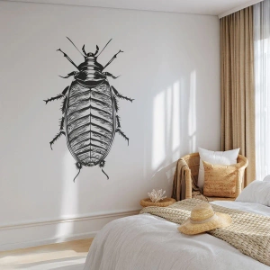 Zelfklevend Fotobehang Deluxe Sticker - Wat een exemplaar! - Insect, Kakkerlak, Minimalisme - 100x70 cm