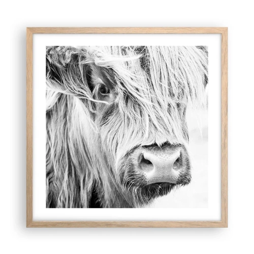 Een poster in een licht eiken lijst - Schotse wildheid - 50x50 cm
