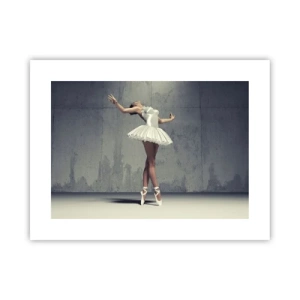 Poster - Licht als een vogel - 40x30 cm