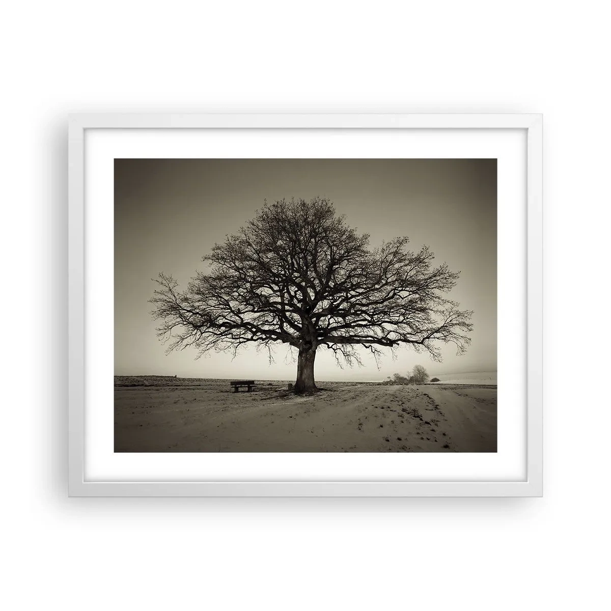 Poster in een witte lijst - Van hier tot in de eeuwigheid - 50x40 cm