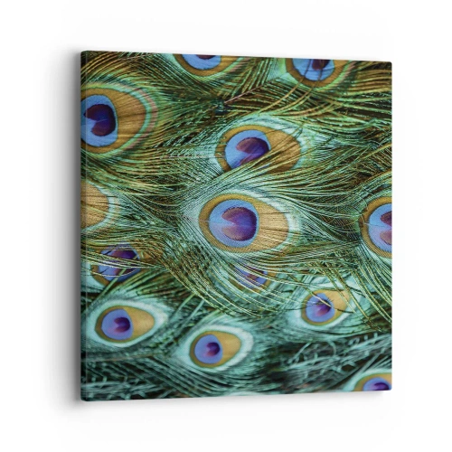 Schilderen op canvas - Een pauwenooglook - 40x40 cm