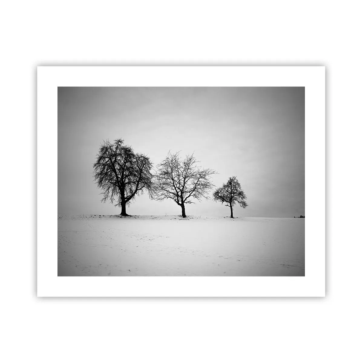 Poster - Waar dromen ze over? - 50x40 cm