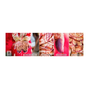 Fotobehang Monster Zelfklevend Deluxe Sticker - Klaar om je geluk te vangen? - Dameshanden, Oosterse ontwerpen, Indië - 100x30 cm