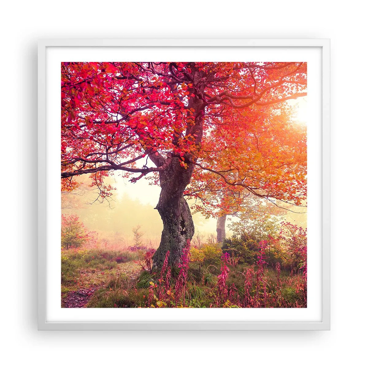 Poster in een witte lijst - Bloeiende razernij - 60x60 cm