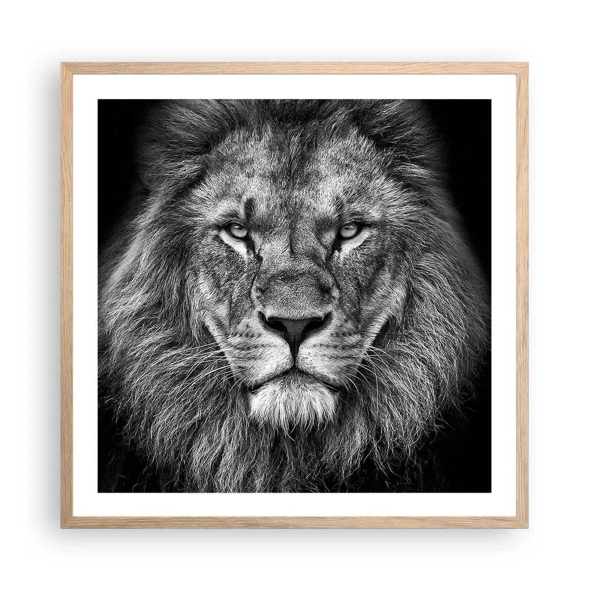 Een poster in een licht eiken lijst - In een kroningskleed - 60x60 cm