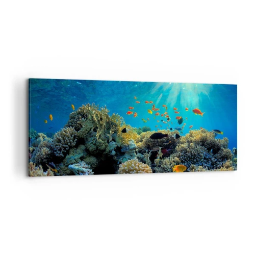 Schilderen op canvas - Onderwater schatten - 100x40 cm