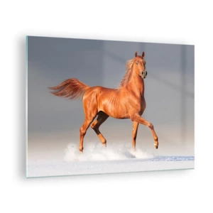 Schilderen op glas - Een galopperend paard tegen een heldere lucht - 70x50cm - Dansende elegantie - Moderne wanddecoratie voor woonkamer en slaapkamer ARTTOR