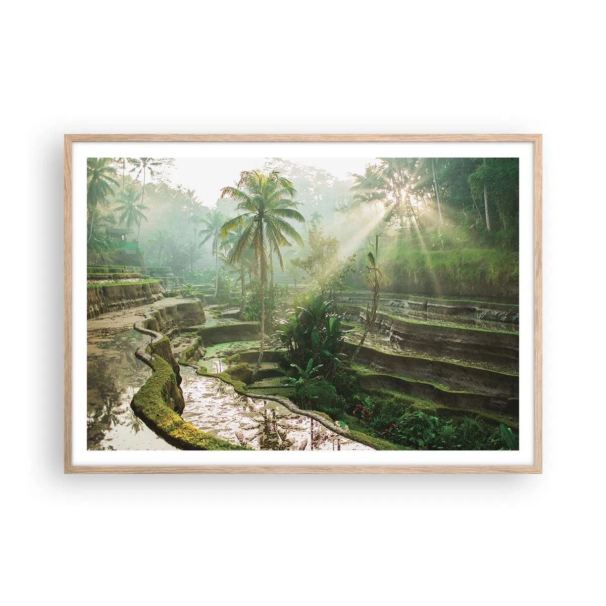 Een poster in een licht eiken lijst - Opgroeien in de zon - 100x70 cm