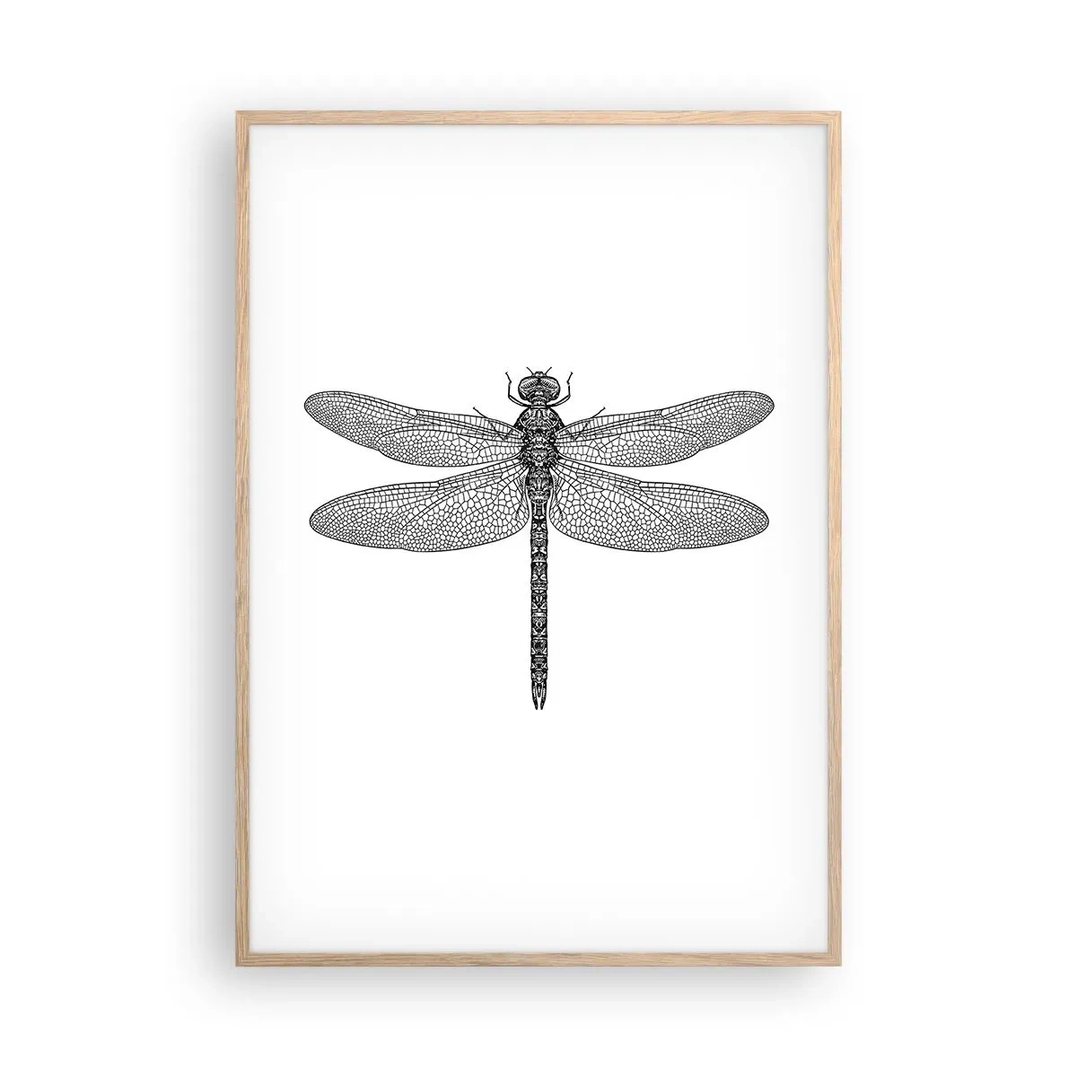 Een poster in een licht eiken lijst - Precisie van de natuur - 70x100 cm