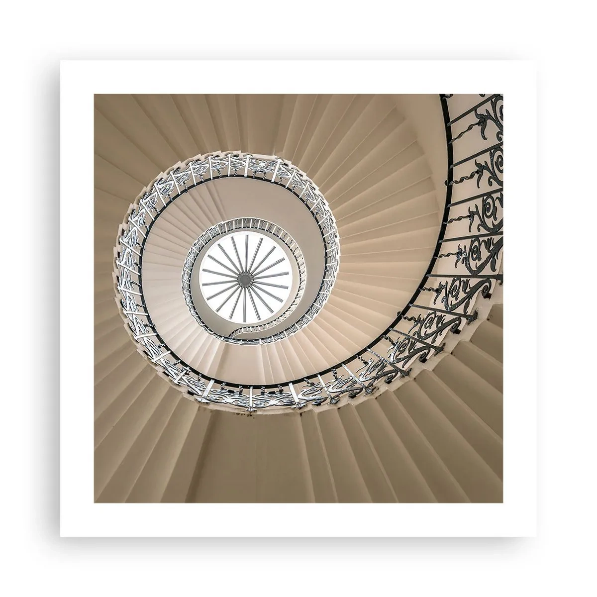 Poster - Binnenin de schaal - 50x50 cm