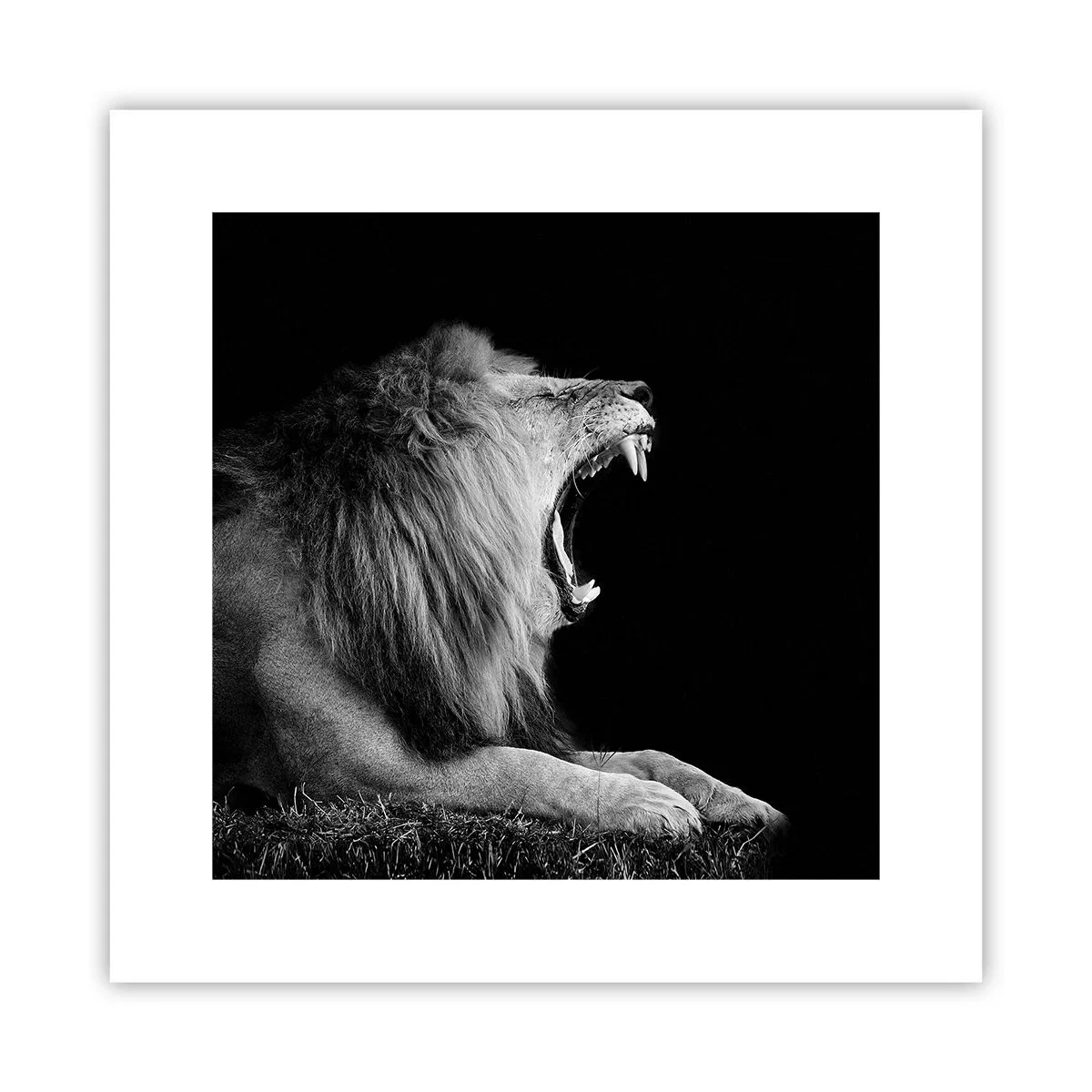 Poster - Zonder enige twijfel - 30x30 cm