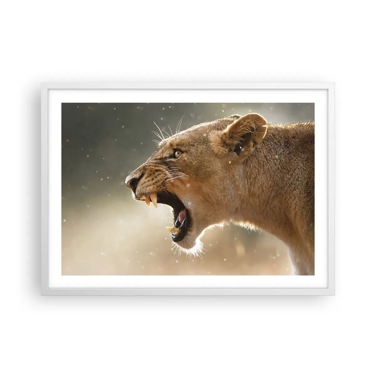 Poster in een witte lijst - Probeer niet te luisteren - 70x50 cm