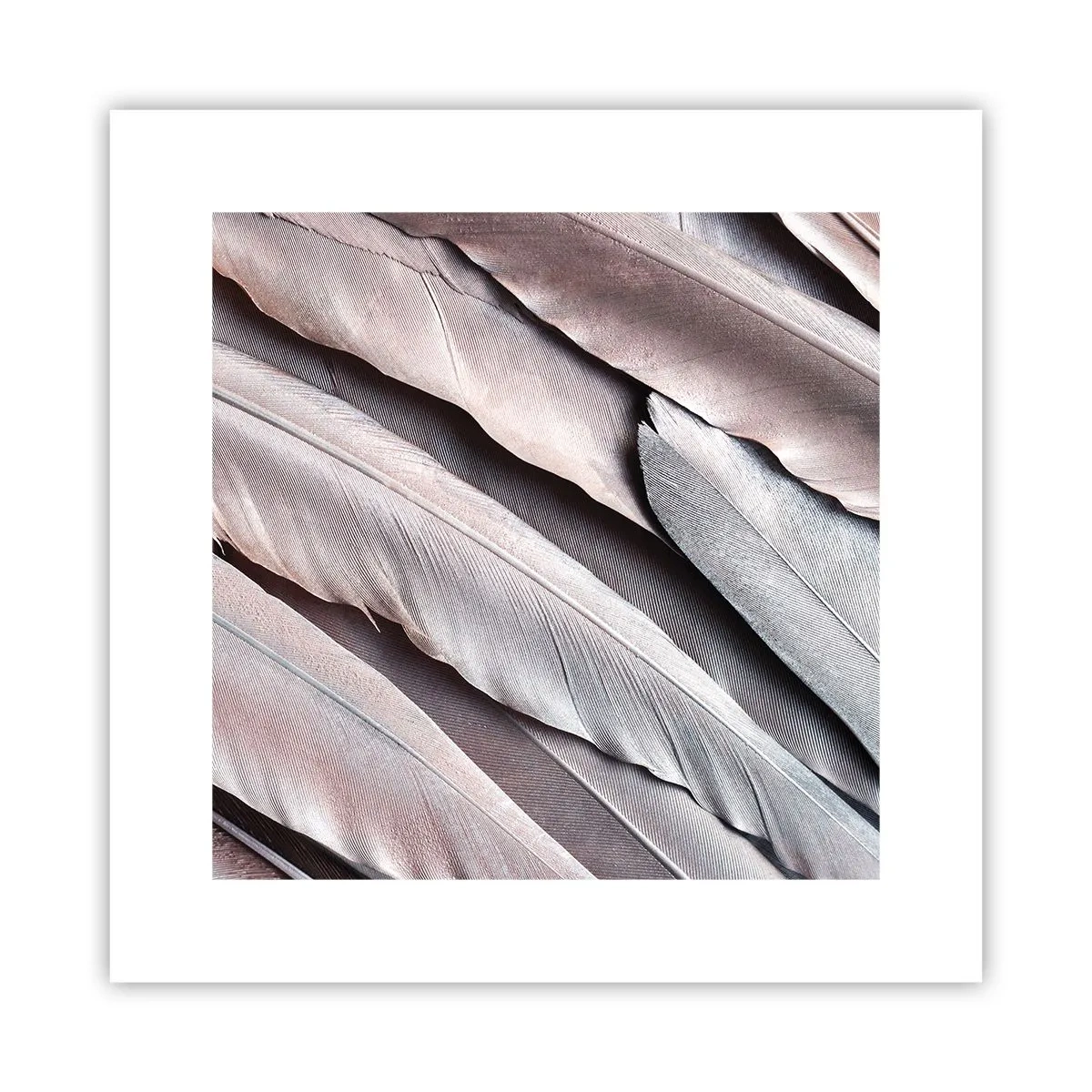 Poster - In roze zilver - 30x30 cm