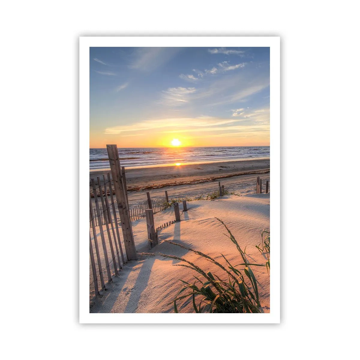 Poster - Glans en schaduw van de wind - 70x100 cm