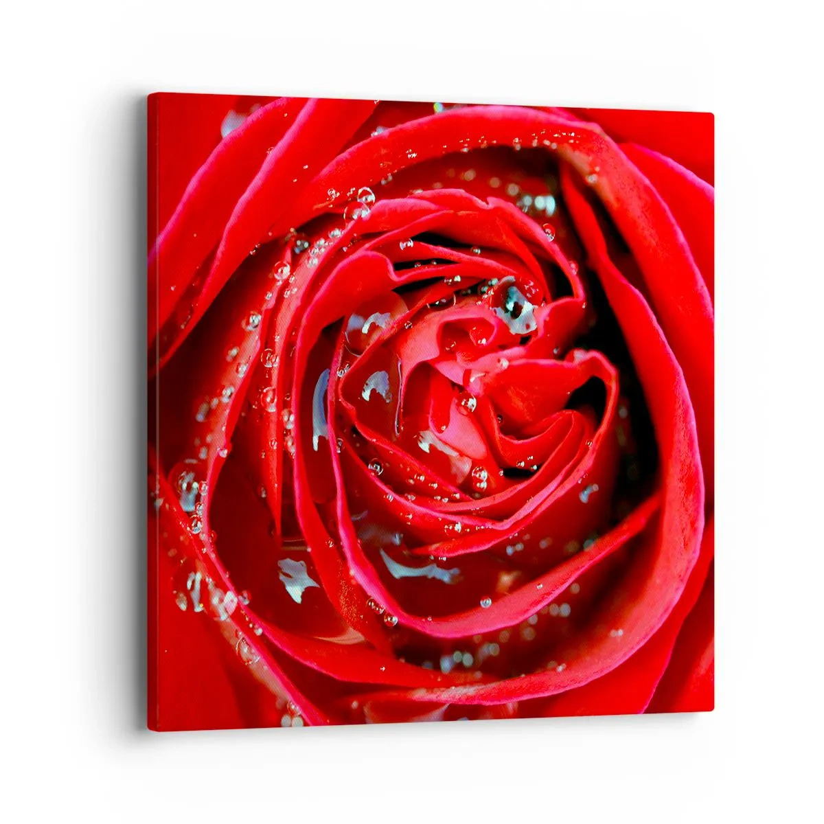 Schilderen op canvas - In de dauwdruppels - 40x40 cm