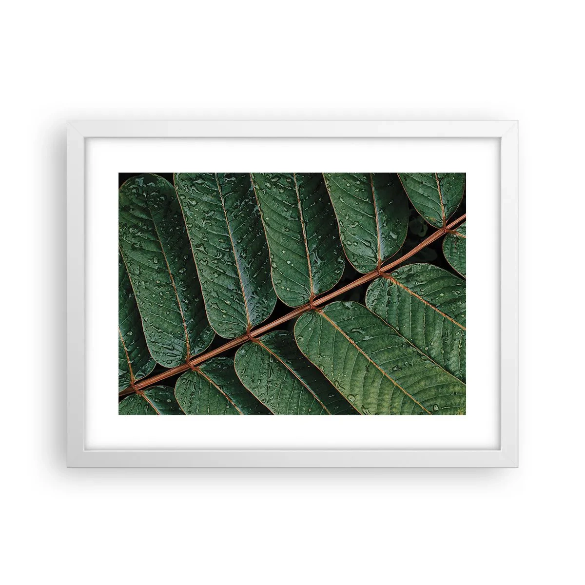 Poster in een witte lijst - In een groen ritme - 40x30 cm