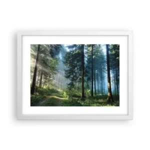 Poster in een witte lijst - Stralend in de ochtend - 40x30 cm