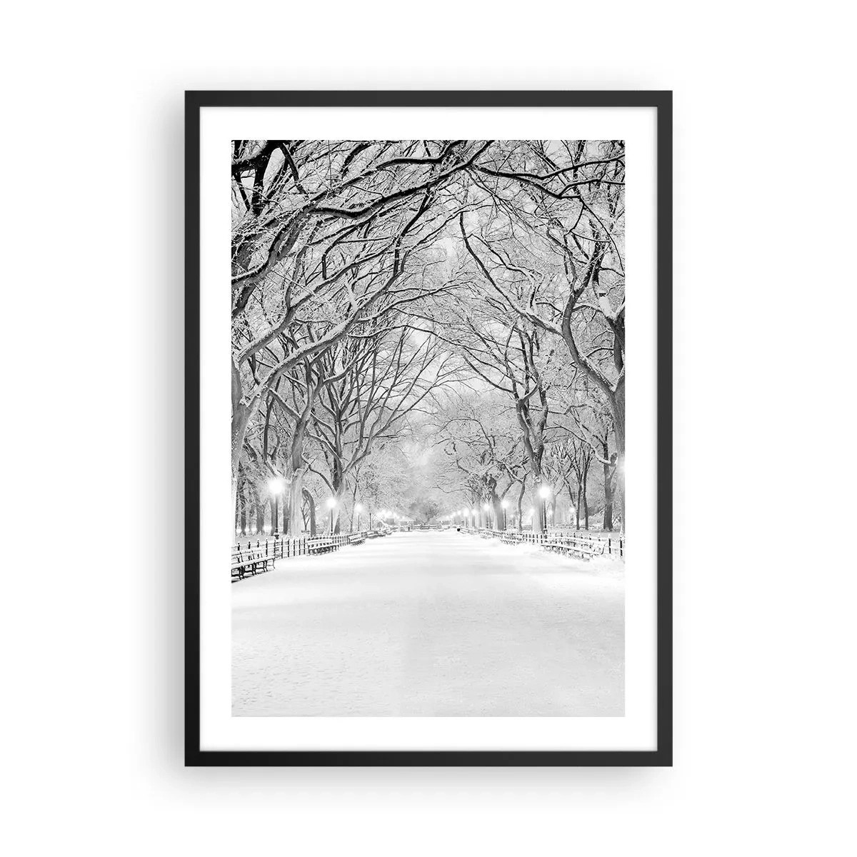 Poster in een zwarte lijst - Een winterlaan met met sneeuw bedekte bomen in het park - 50x70cm - Vier seizoenen - winter - Moderne wanddecoratie voor woonkamer en slaapkamer ARTTOR