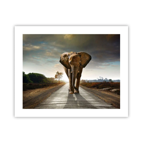 Poster - En helemaal niet in een porseleinen pakhuis - 50x40 cm