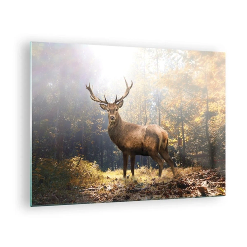 Schilderen op glas - Een statig hert in een zonnig herfstbos - 70x50cm - In volle majesteit - Moderne wanddecoratie voor woonkamer en slaapkamer ARTTOR