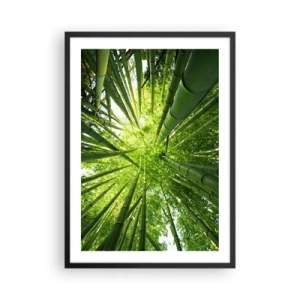 Poster in een zwarte lijst - Uitzicht op het dichte bamboebos - 50x70cm - In een bamboebos - Moderne wanddecoratie voor woonkamer en slaapkamer ARTTOR