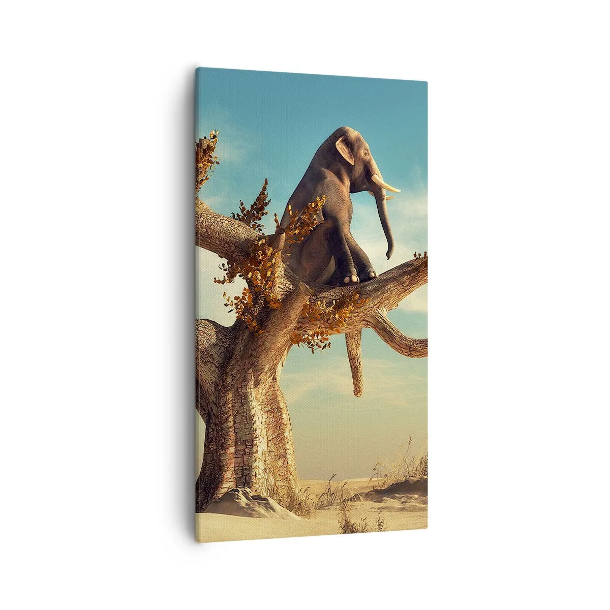 Schilderen op canvas - Een nieuw gezichtspunt - 55x100 cm