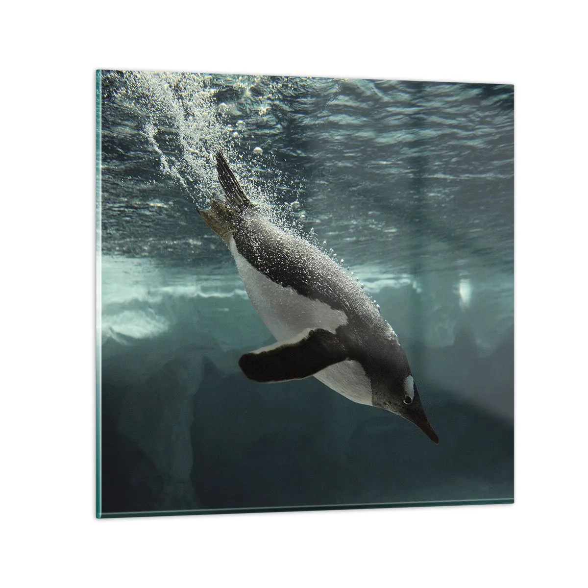 Schilderen op glas - Welkom in mijn wereld - 60x60 cm