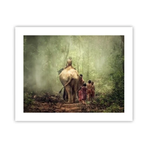 Poster - Nieuw Jungle Boek - 50x40 cm