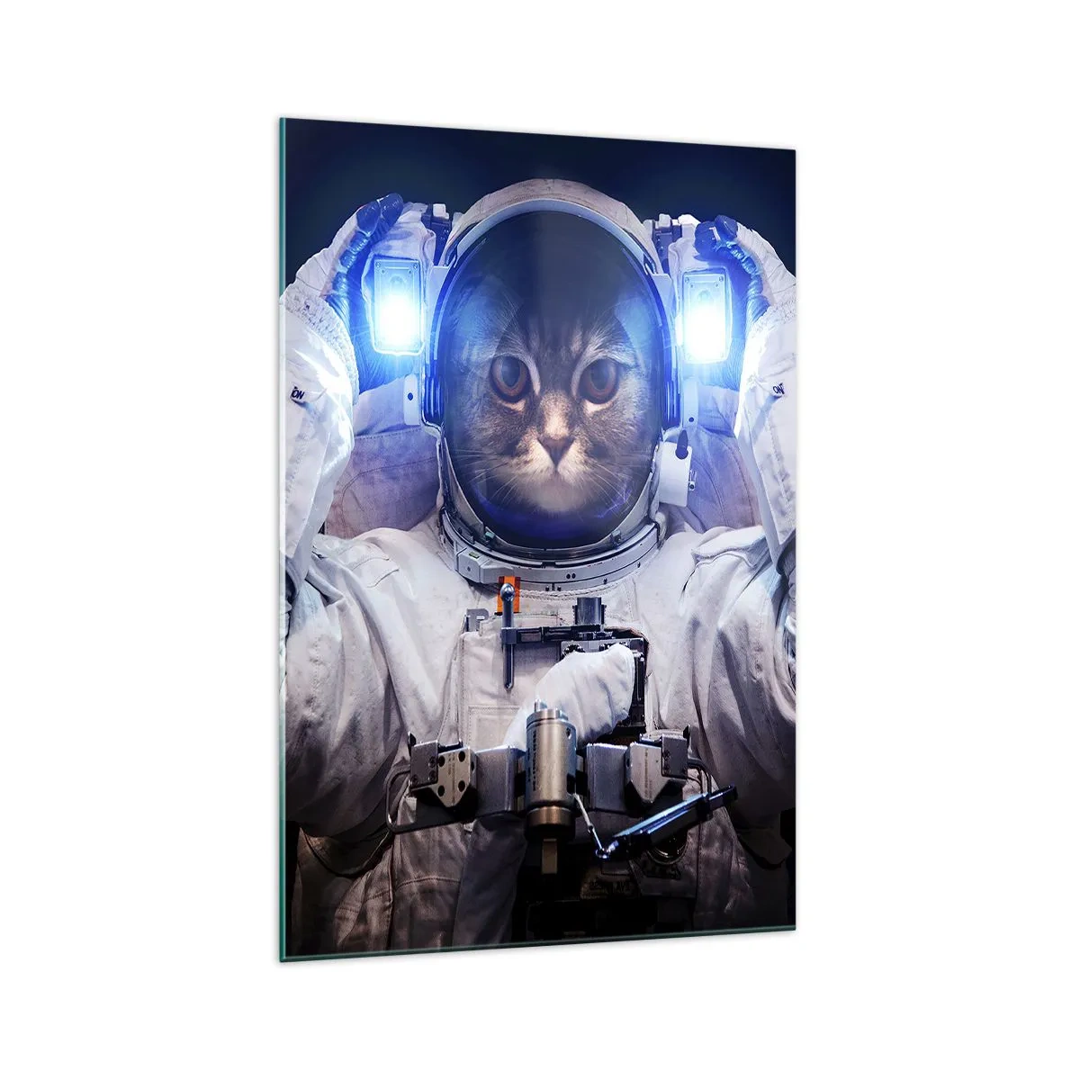 Schilderen op glas - Houston, je hebt een probleem - 70x100 cm