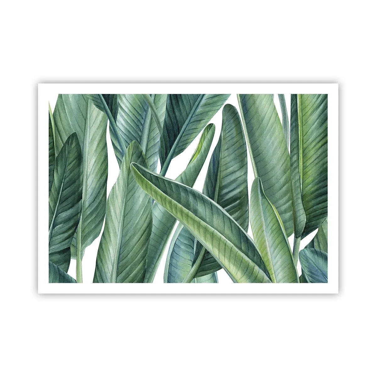 Poster - Groen zelf - 100x70 cm