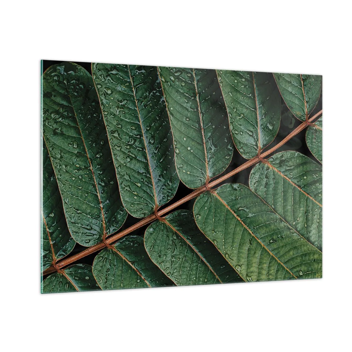 Schilderen op glas - In een groen ritme - 100x70 cm