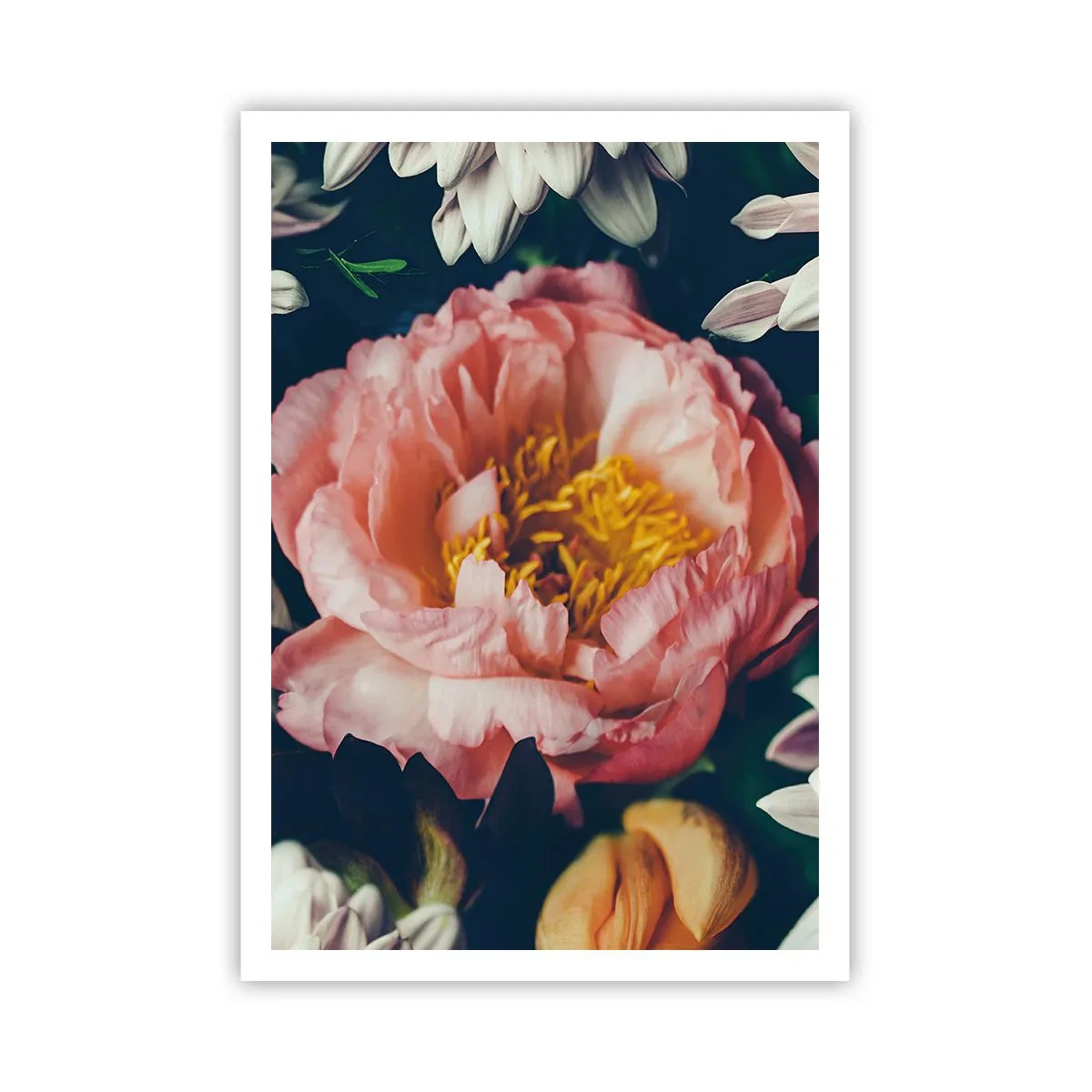 Poster - Met barokke pracht - 70x100 cm