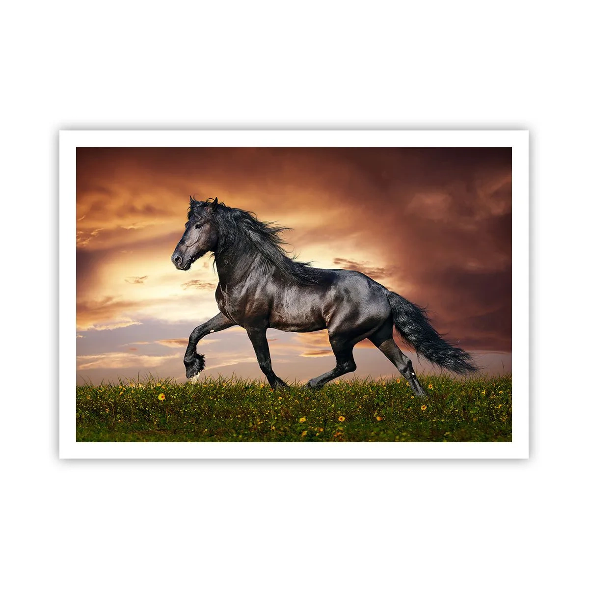 Poster - Zwarte Prins - 100x70 cm