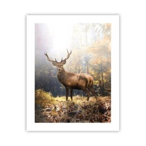 Poster - In volle majesteit - 40x50 cm