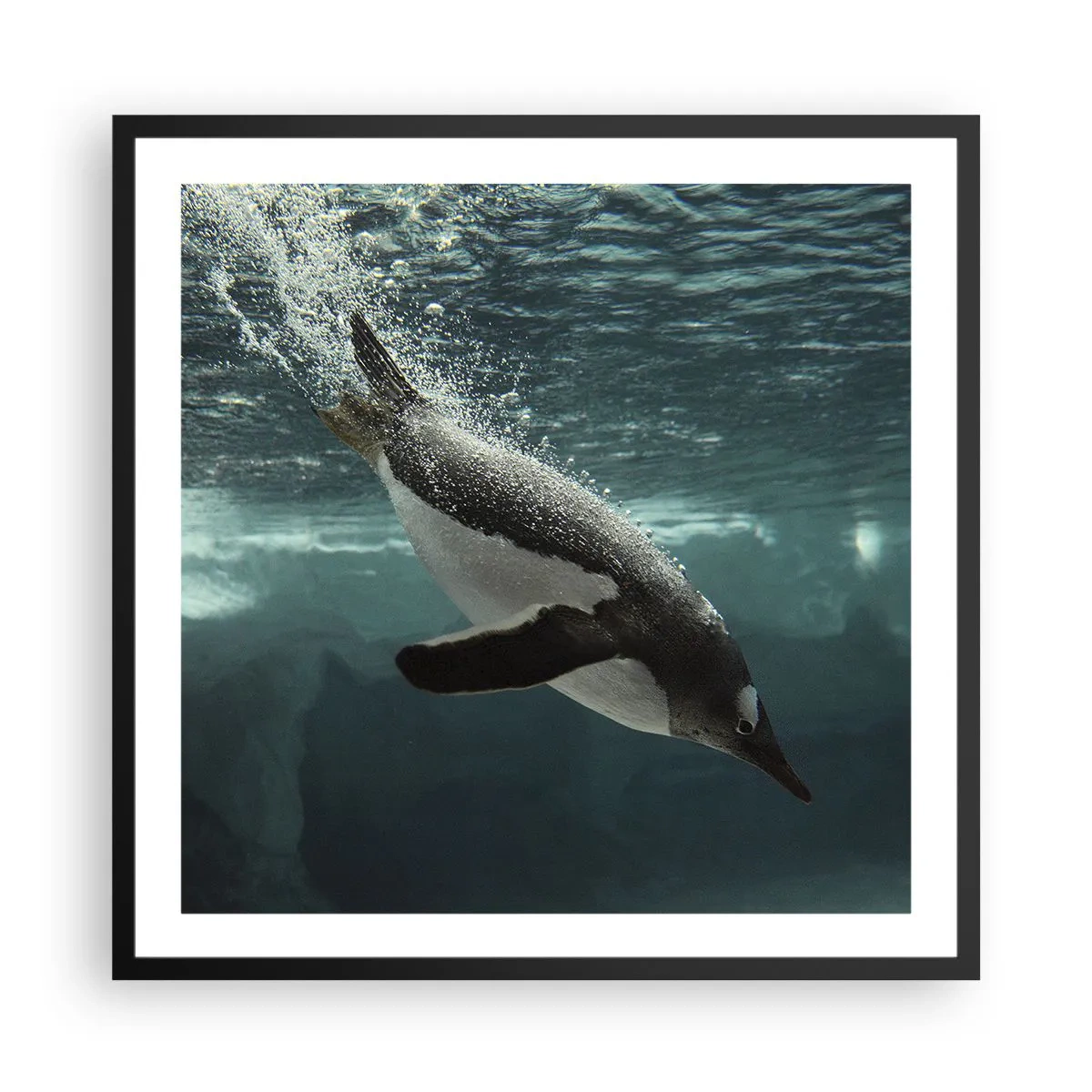 Poster in een zwarte lijst - Welkom in mijn wereld - 60x60 cm