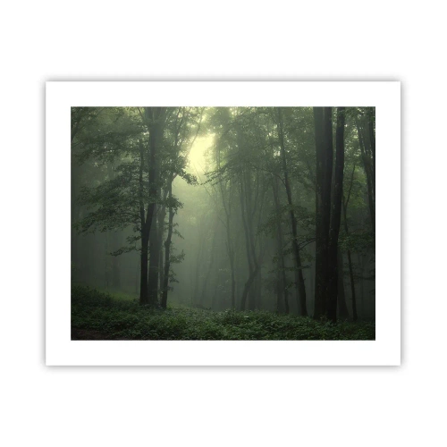 Poster - Voordat hij wakker wordt - 50x40 cm