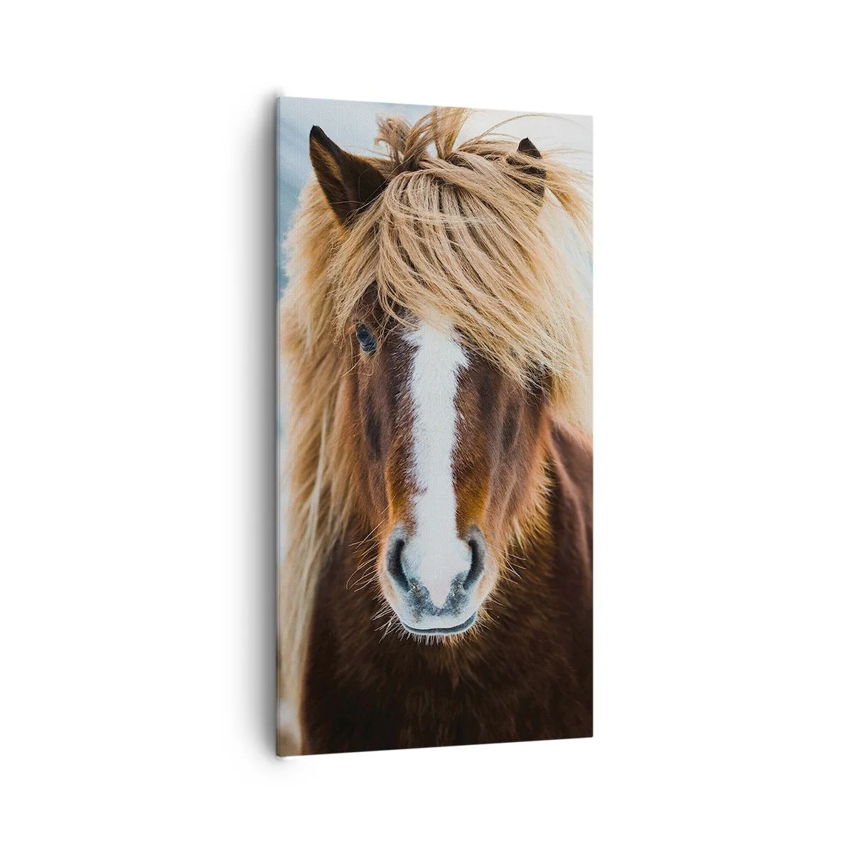 Schilderen op canvas - Voel jij je vrij? - 65x120 cm