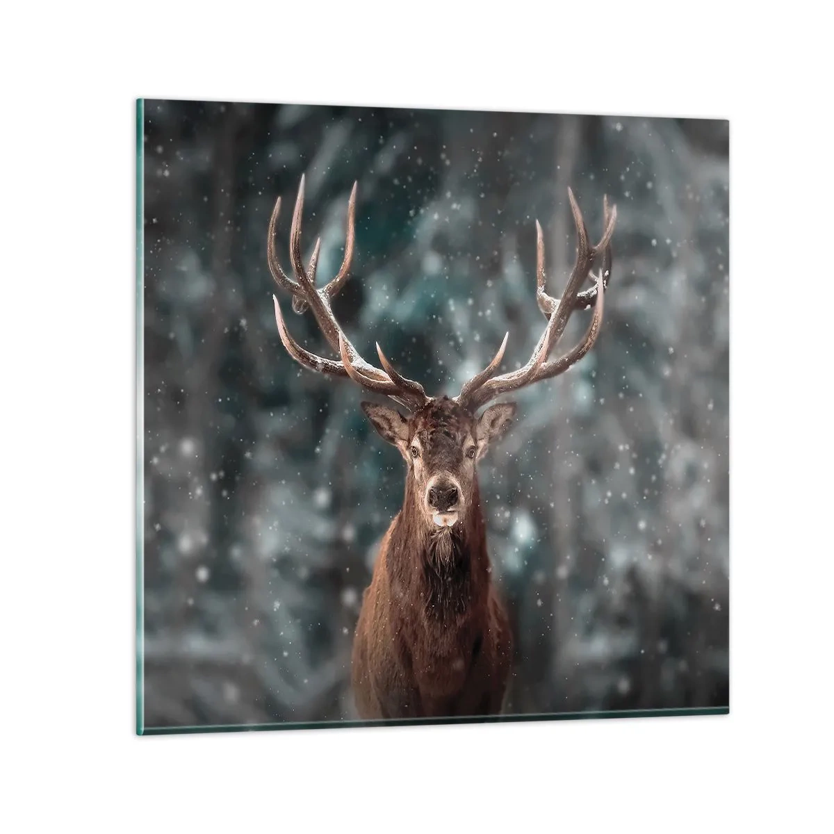 Schilderen op glas - Gekroond tot koning van het bos - 70x70 cm