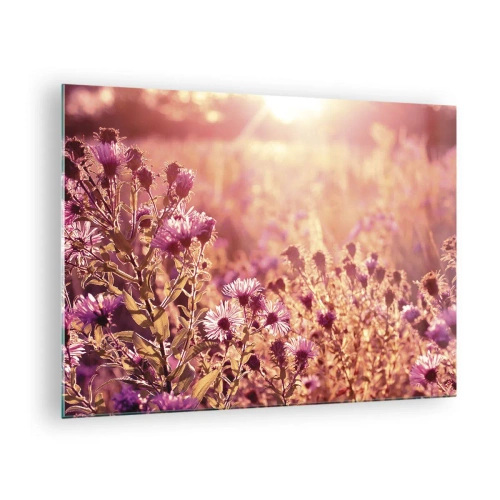 Schilderen op glas - Paarse bloemen in de weide in het licht van de ondergaande zon - 70x50cm - Voordat de zomer voorbij is - Moderne wanddecoratie voor woonkamer en slaapkamer ARTTOR