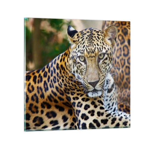 Schilderen op glas - Wild en kalm - 70x70 cm