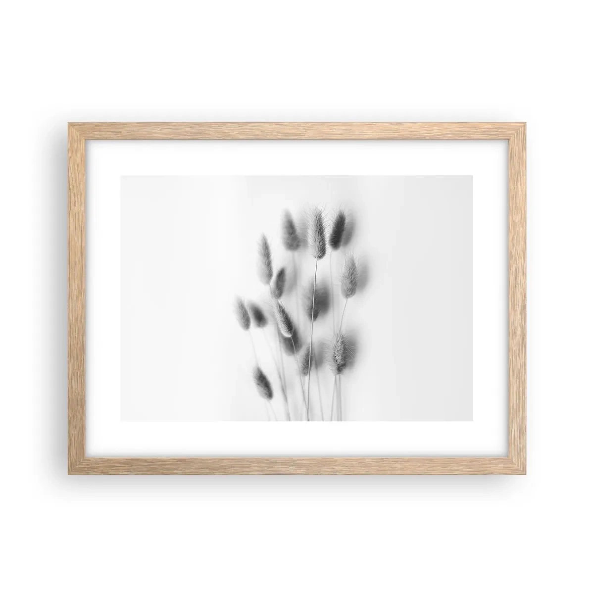 Een poster in een licht eiken lijst - Haar luchtigheid gras - 40x30 cm