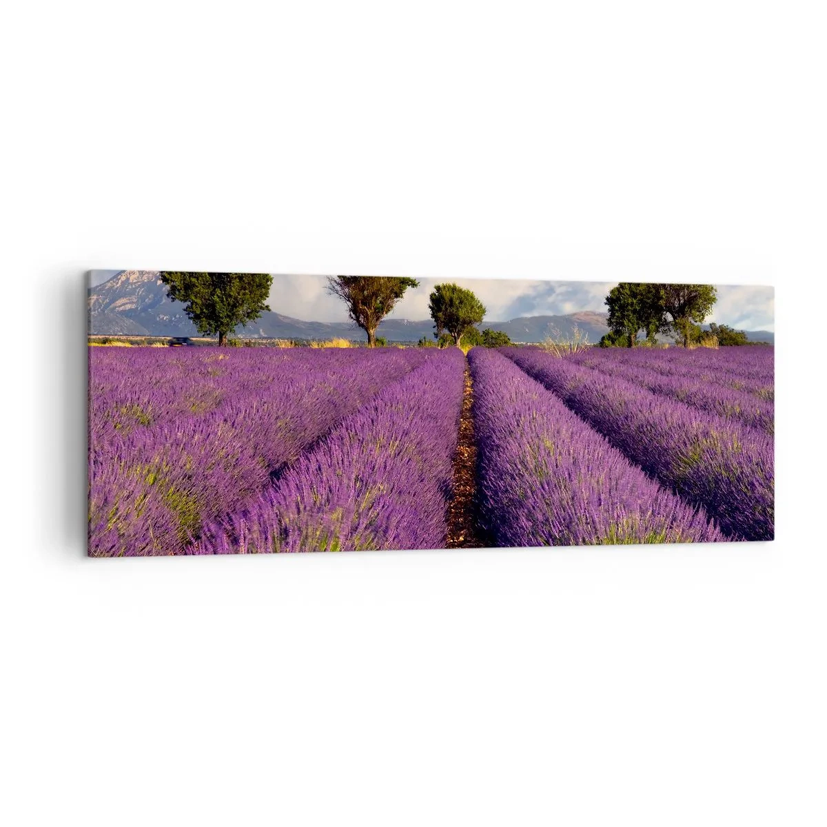 Schilderen op canvas - Lavendel velden - 140x50 cm