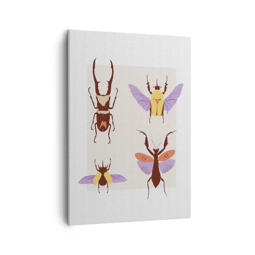 Schilderen op canvas - Insectenwereld - 50x70 cm