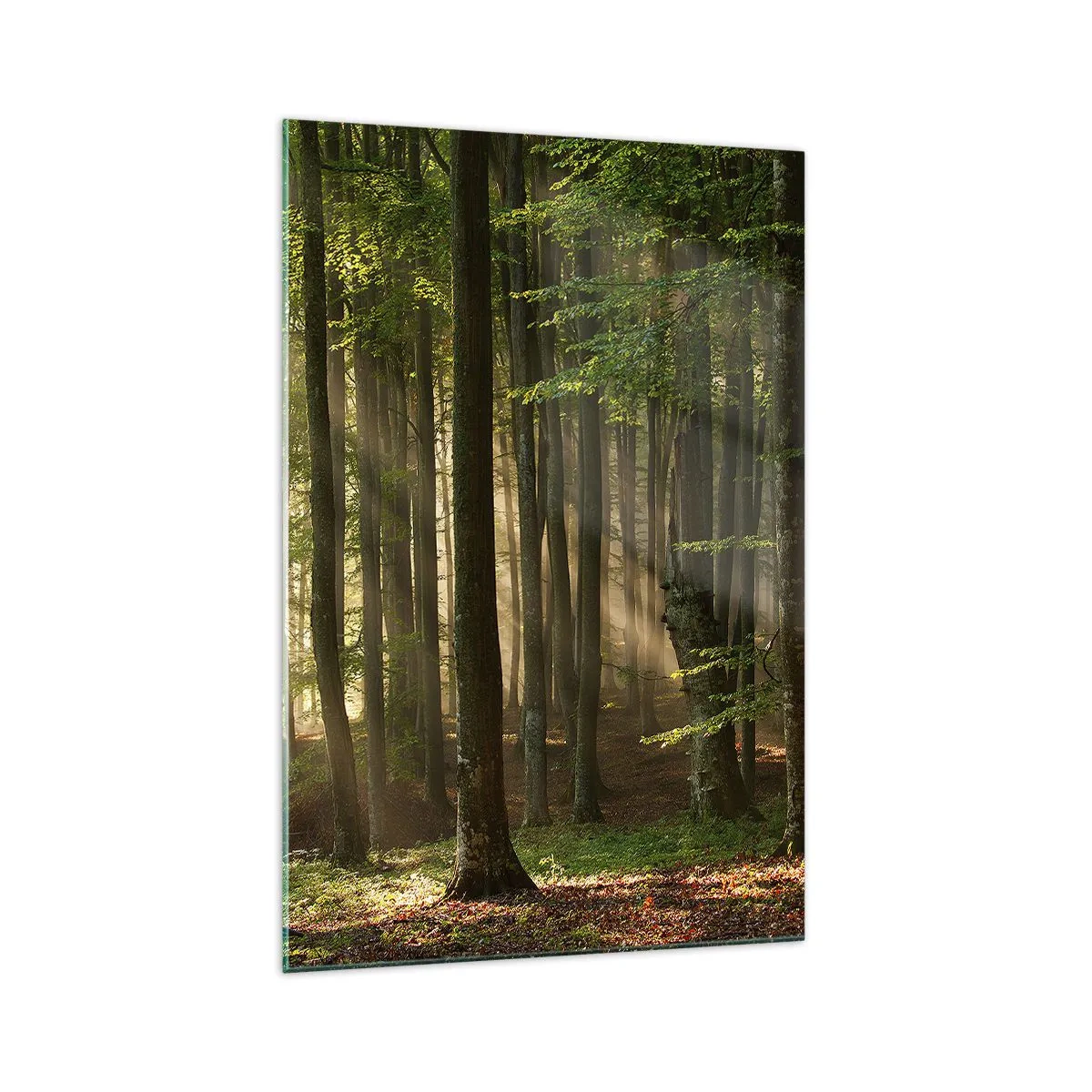 Schilderen op glas - Stralend op een lentemorgen - 70x100 cm
