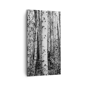 Schilderen op canvas - Berken colonnade - 45x80 cm